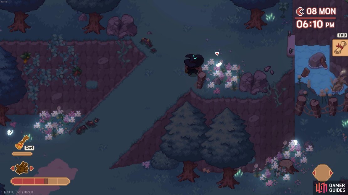 Find the bluemoon butterflies hanging around the flowers on the plateau.