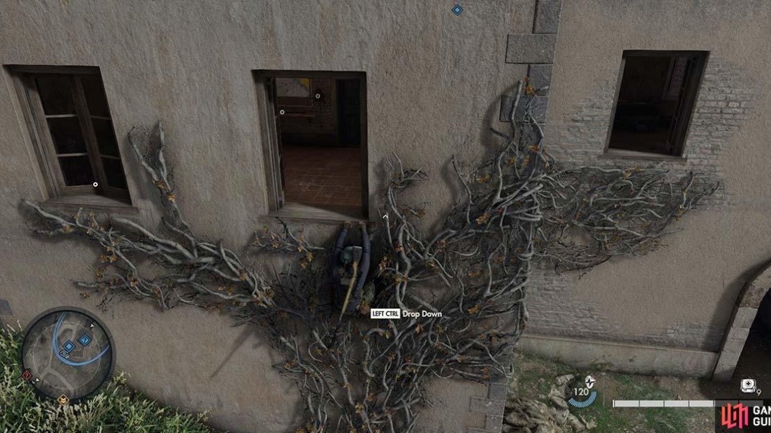 You’ll need to use the vines to climb through the window to reach the room.