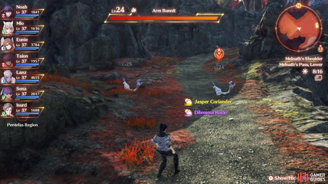 Look in the Lower area of Melnath’s Pass to find the Dilemma Rock