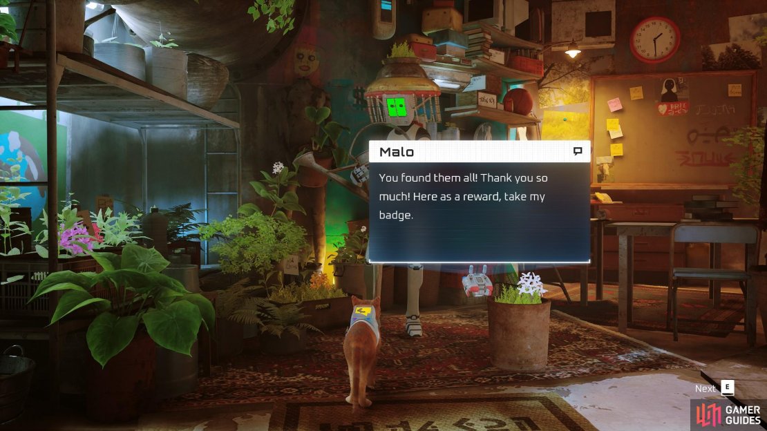 Speak to Malo about the flower quest.