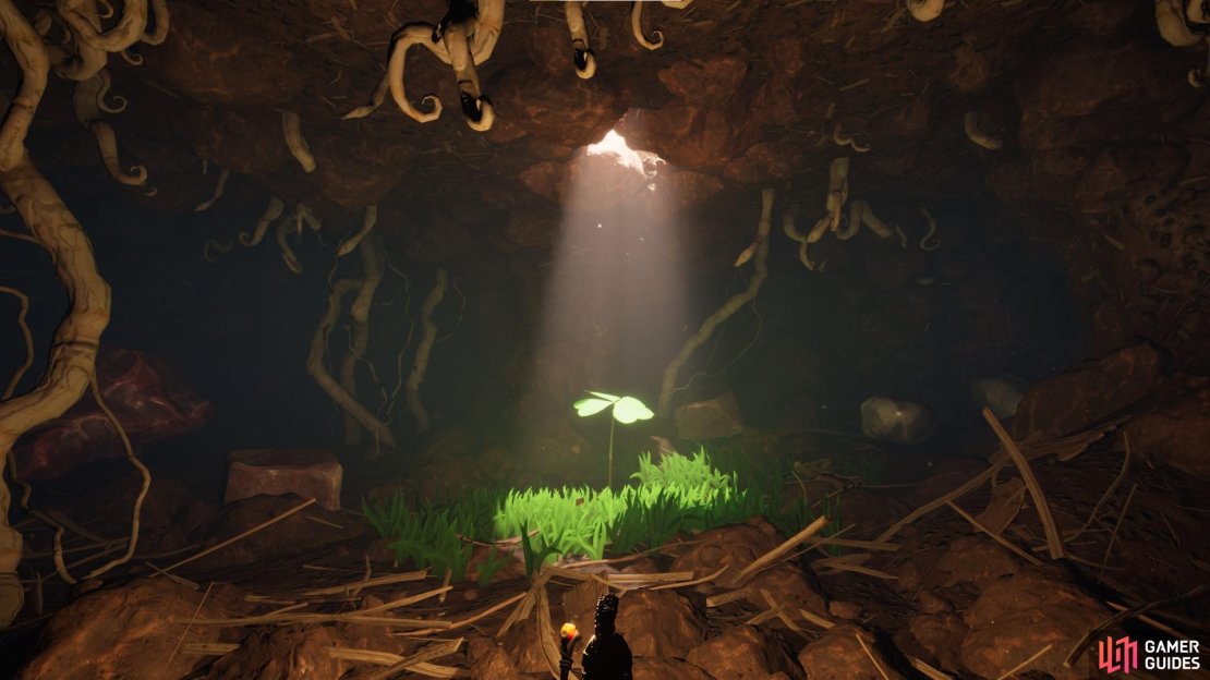 Here is everything you need to know about Grounded’s 4 Leaf Clover Site.