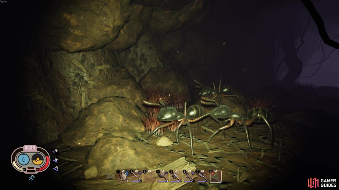 So many ants!