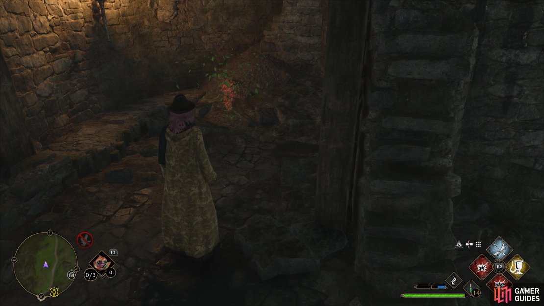 Enchanted leaves in Poidsear coast treasure vault.