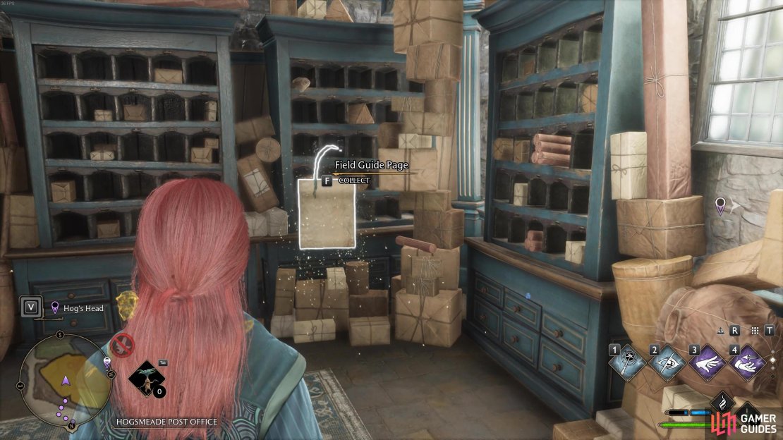 Head into the Magical Mail post office to find this field page.
