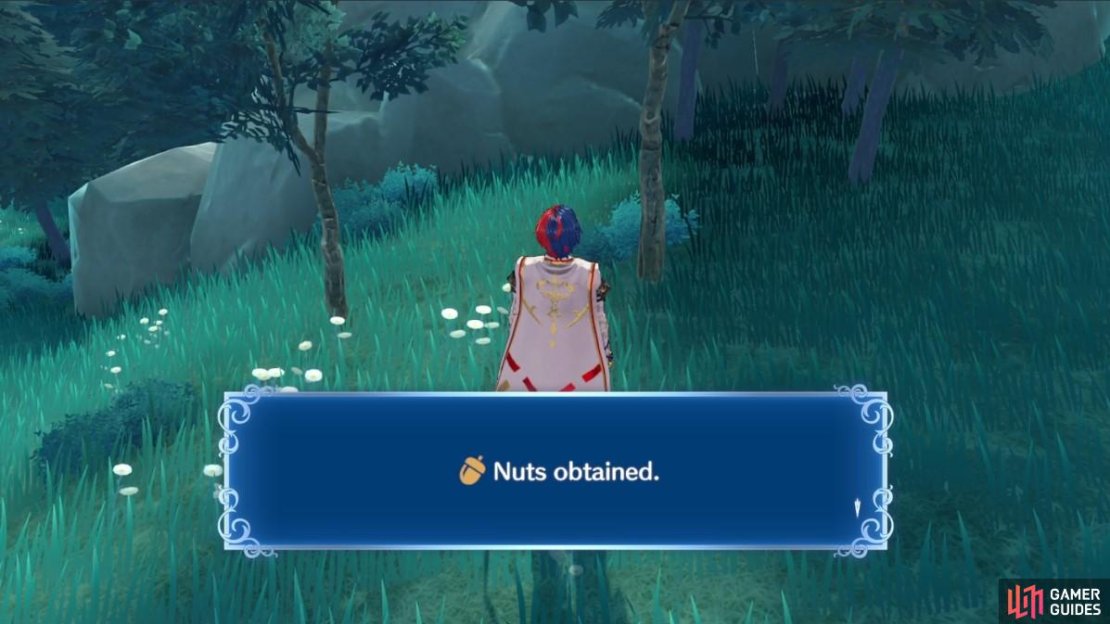 !Fire Emblem Engage Lythos Grasslands Chapter 1 item