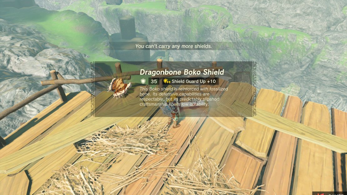 The !Dragonbone Boko Shield with a Shield Guard Up enhancement