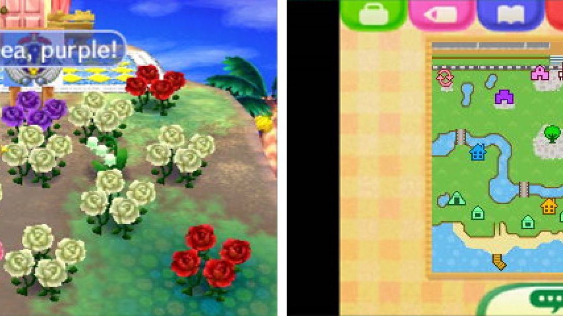 Getting a rare flower is a happy time indeed.