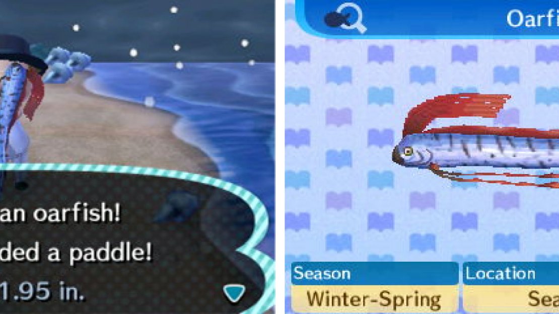 Are you sure we didn’t just need the fish?