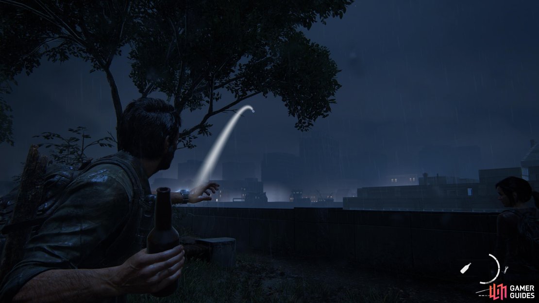 Use a bottle to knock the firefly pendant off the branch