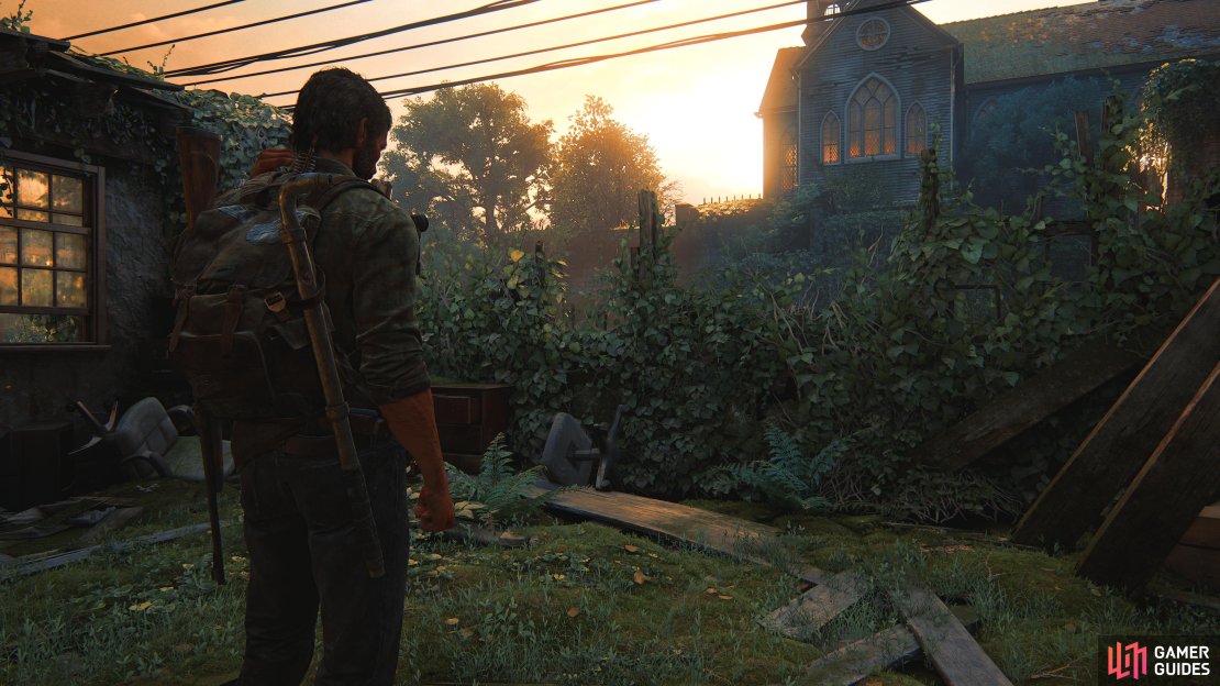 Joel looks out into the distance.