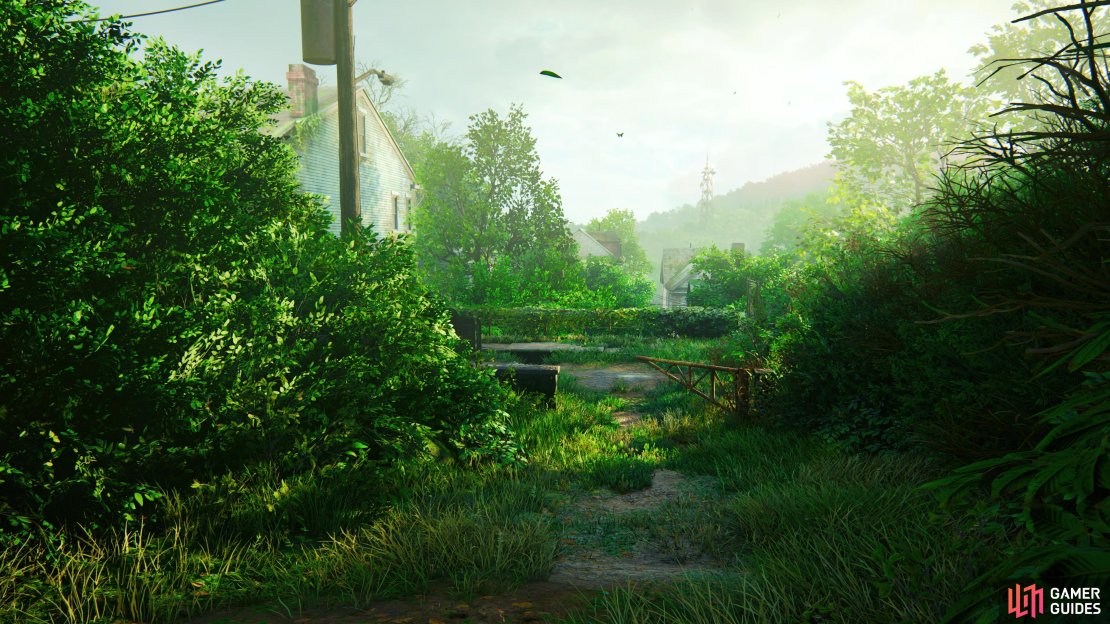 The Suburbs Looks so peaceful.