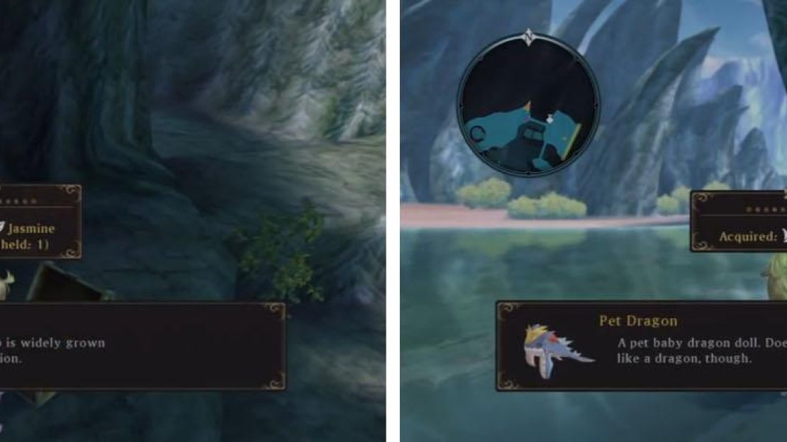 Make sure to grab the Jasmine on the cliff and in the next area get the Aifreads Treasure.