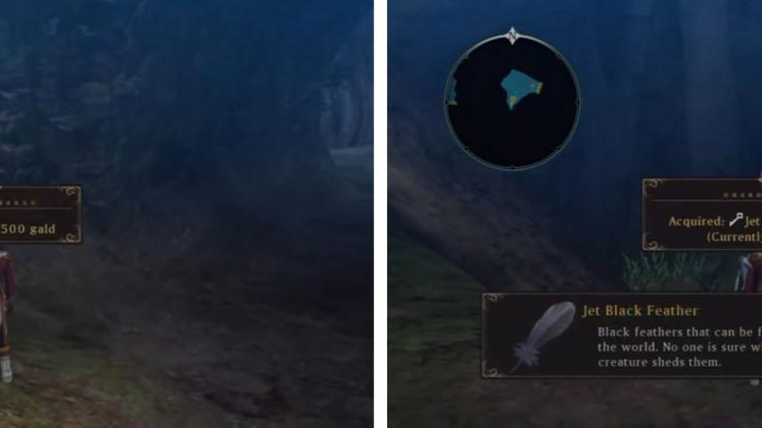 Take the optional path south for two treasures, one with the valuable Jet Black Feathers.