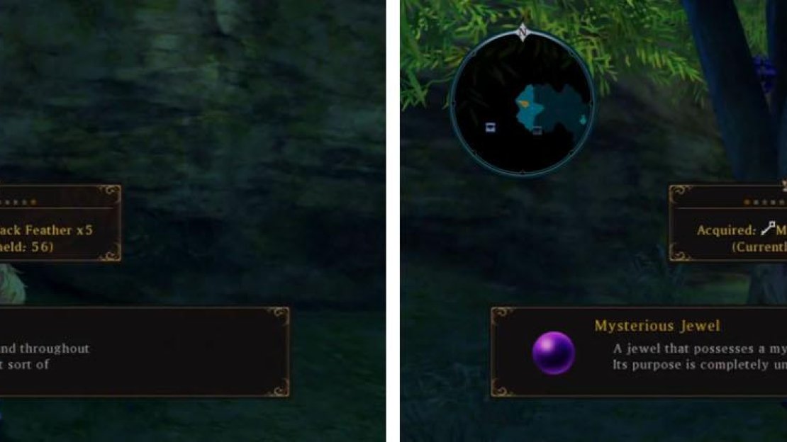Check the north branch for the valuable Jet Black Feathers and Aifreads Treasure.