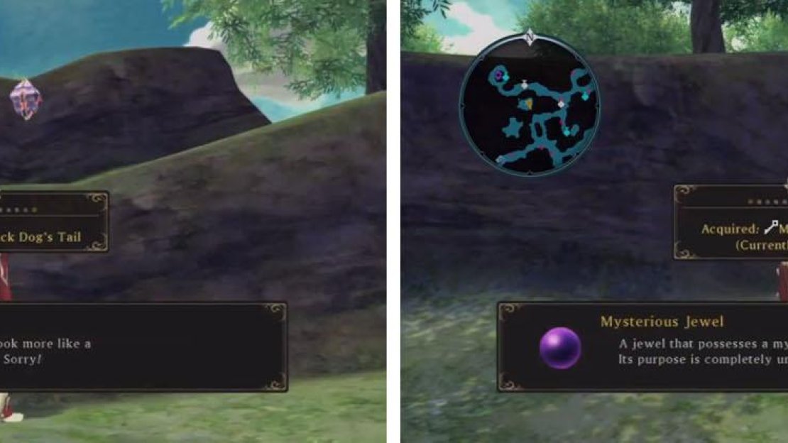 The Black Dog’s Tail is in an Aifreads Treasure near a tunnel with another Mysterious Jewel.