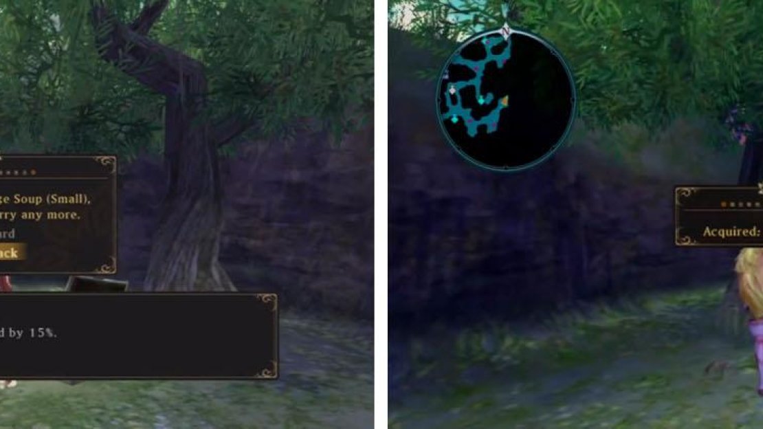 Grab the Orange Soup (Small) and make sure to get the Aifreads Treasure before leaving.