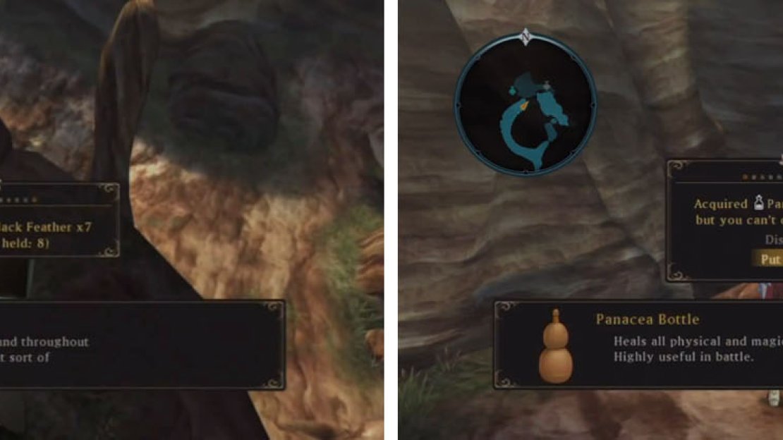 Jump off the ledge for the valuable Jet Black Feathers and then continue for more treasure.