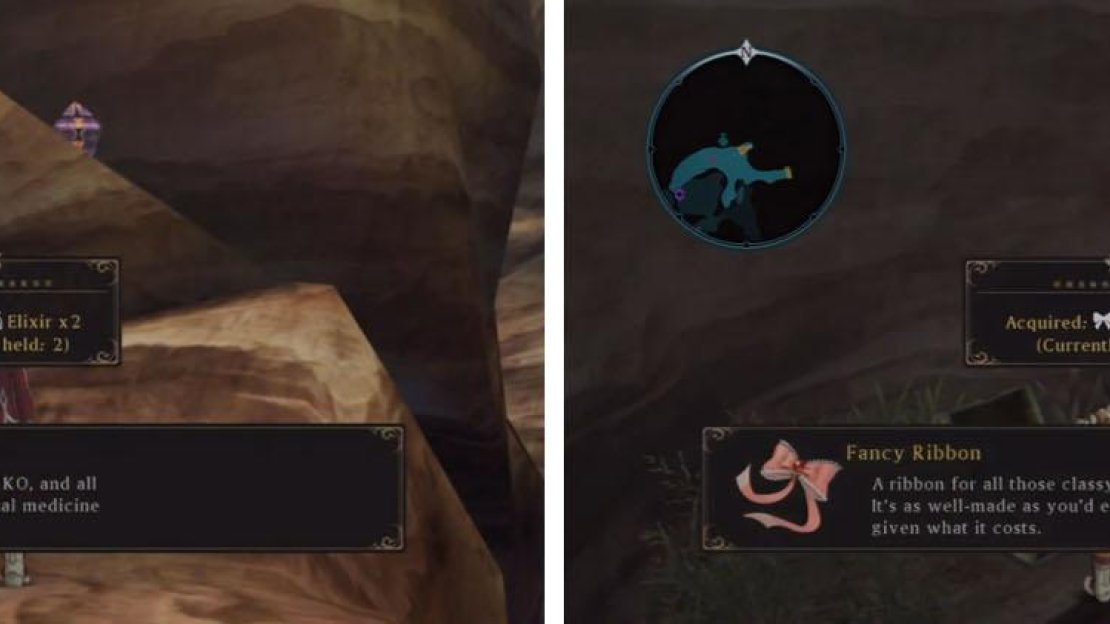 Some Elixirs lie in the next Aifreads Treasure and a Fancy Ribbon is also nearby.