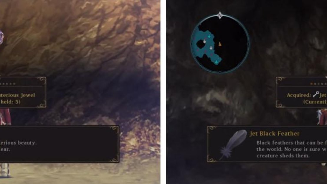 Make sure to take the exit to the southwest area for a Mysterious Jewel and some valuable Jet Black Feathers.