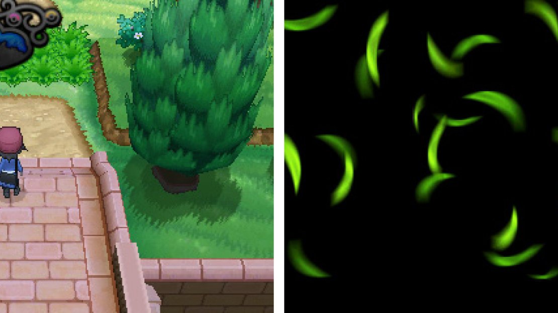 The time has arrived to begin your Pokémon collecting in earnest!
