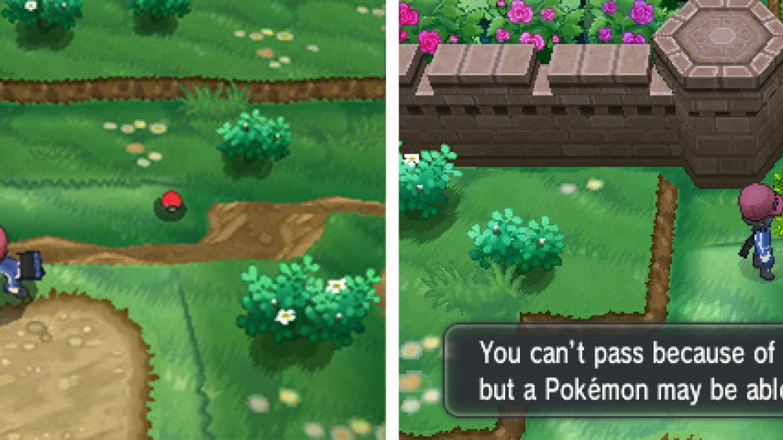 Jot down this item’s location, because you need HM01 Cut to reach it.