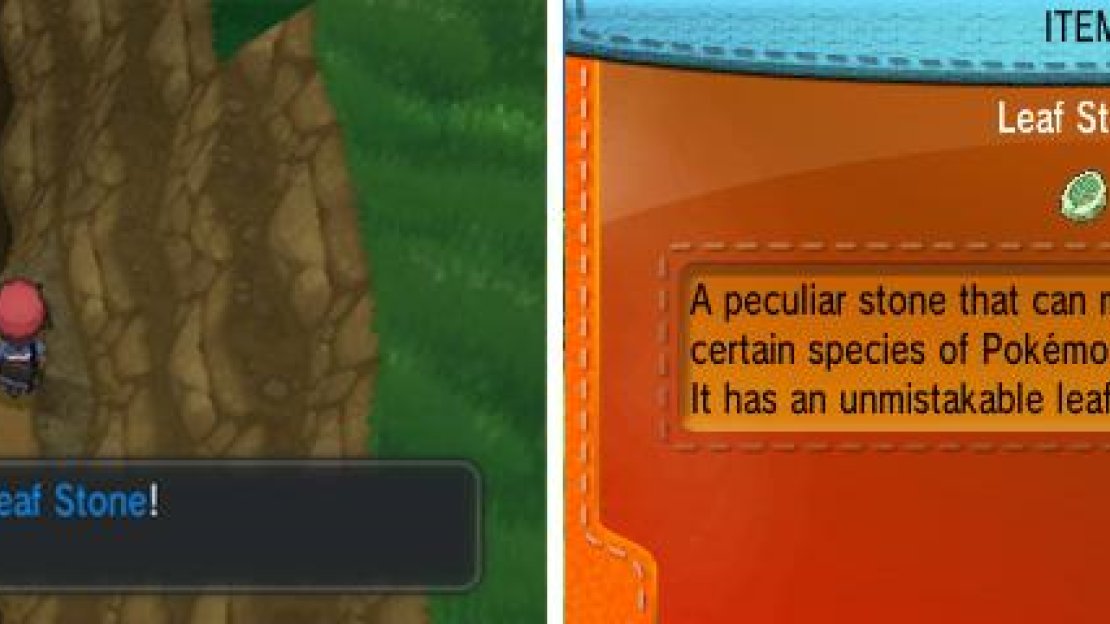 The Leaf Stone evolves Gloom, Weepinbell, Exeggcute, Nuzleaf or Pansage.