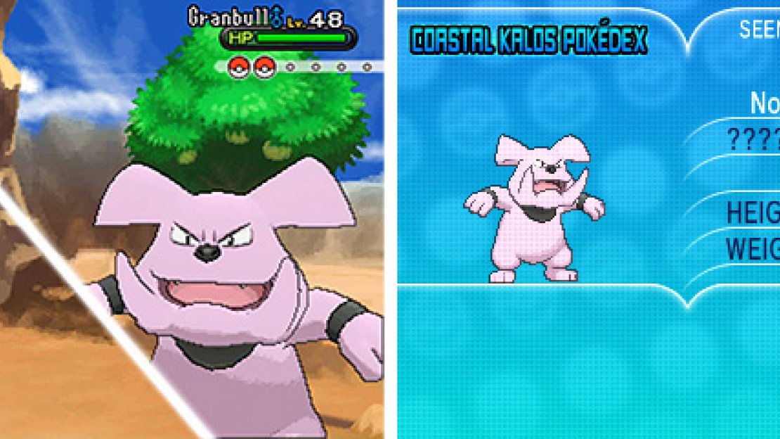 Granbull is a Fairy-type that is harder to find as a male than a female.