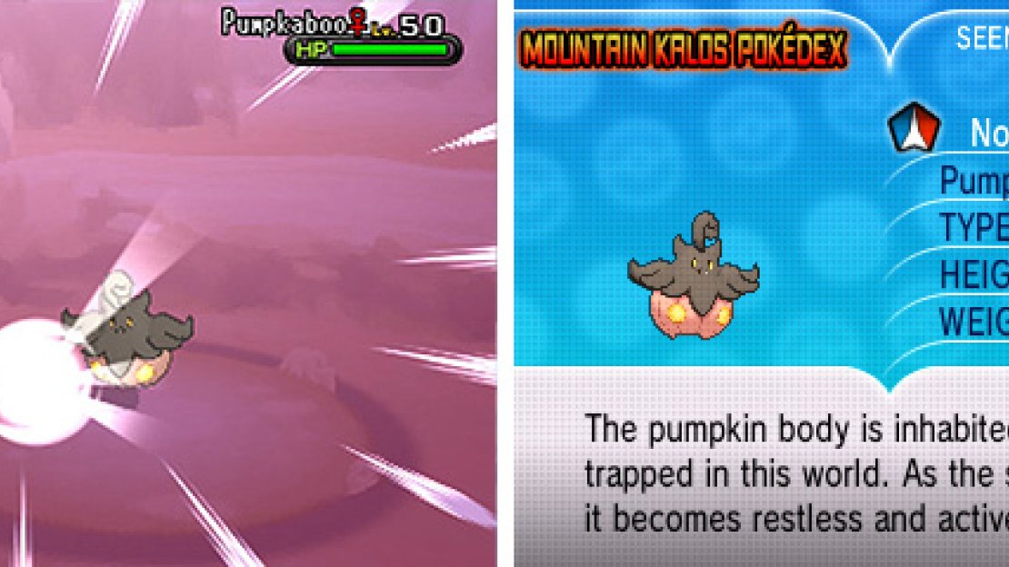Pumpkaboo come in different sizes; the bigger the better.