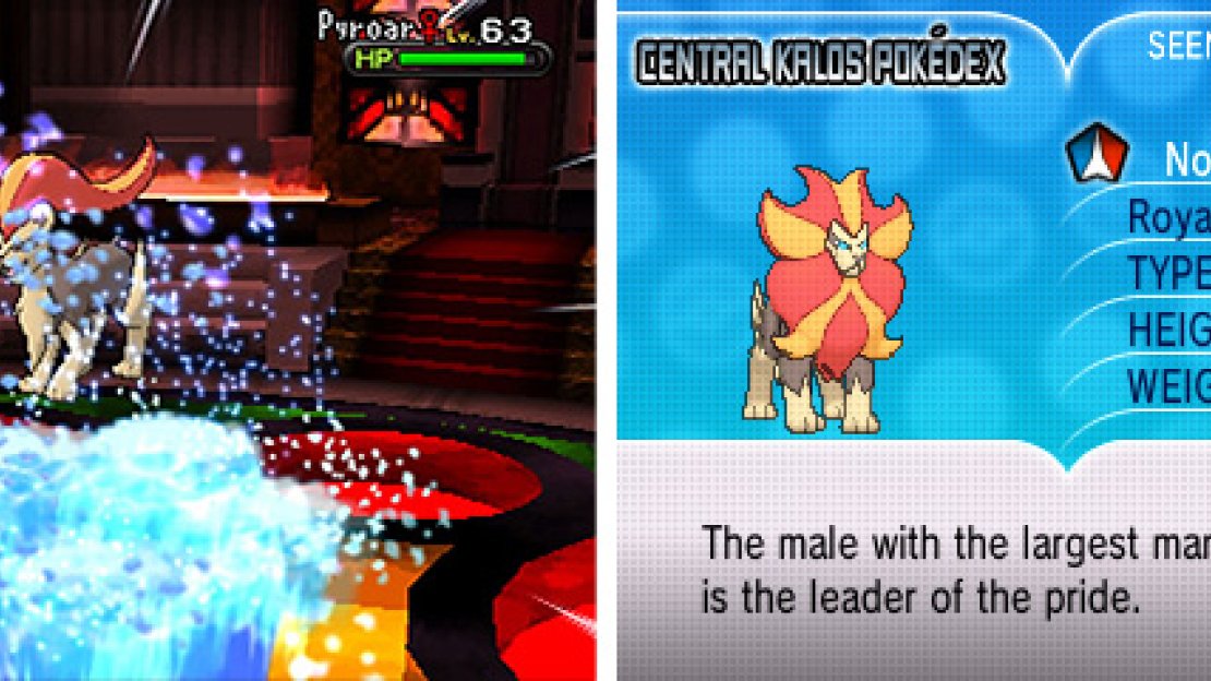 Pyroar is weak to Fighting, Ground, Rock and Water moves.