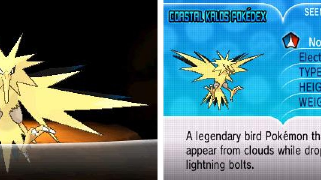 Only one of the three Legendary birds can be caught per game.