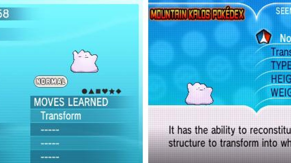 Ditto has very few qualms with who it breeds with.