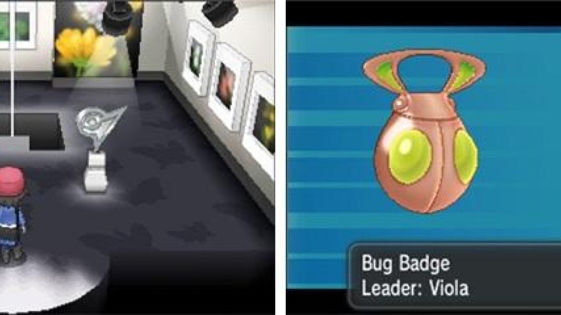 Beating each gym leader and getting their badge is proof of your skill as a Pokémon trainer.