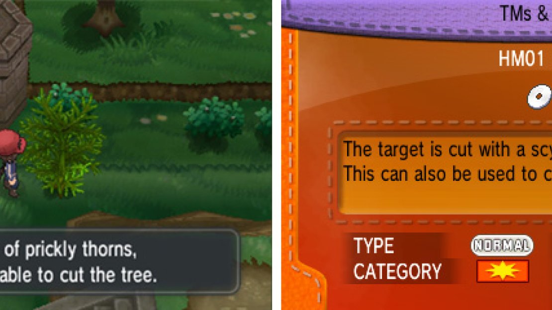Remember: HMs and TMs are useless unless taught to a Pokemon!