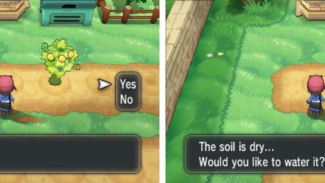 Plant, water, then wait… and profit!