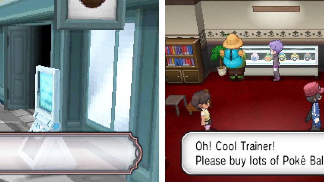 The Poke Ball Boutique is perfect for your Poke Ball needs!