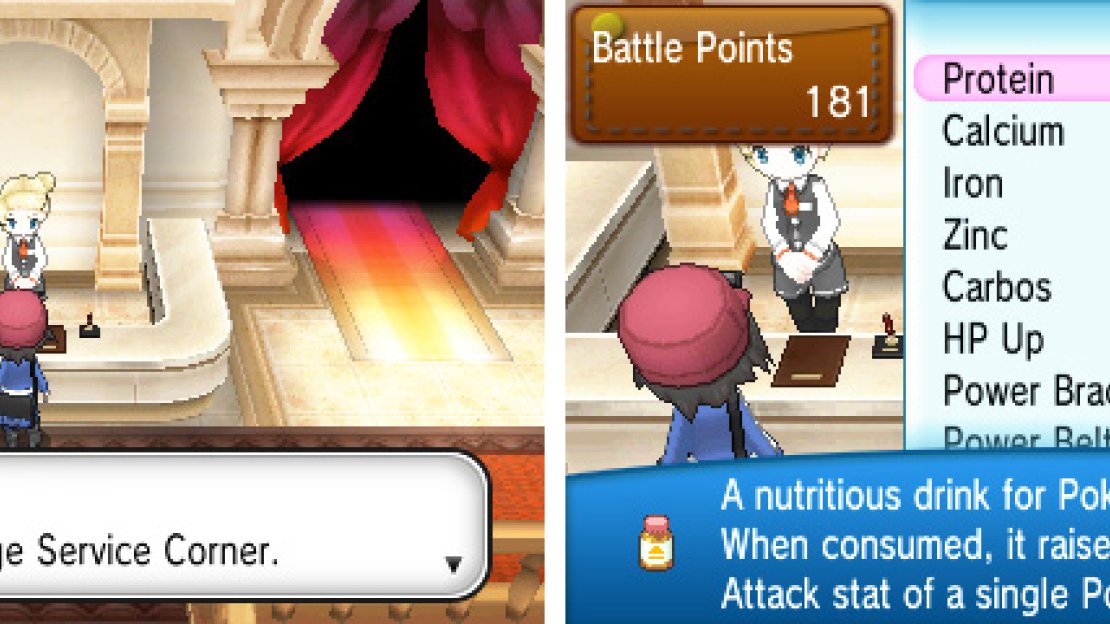 The lady on the left sells items that improve your Pokemon’s performance.