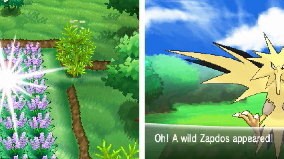 Patience and virtue is needed to snag your Legendary bird.