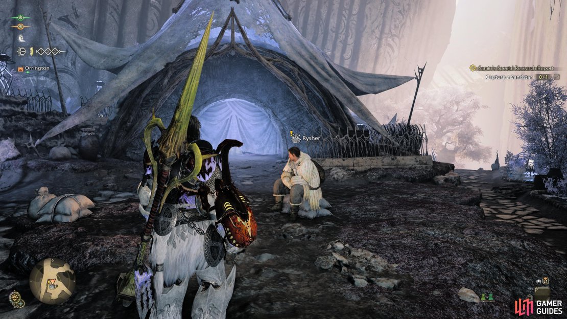 Rysher can be found in Sild in the Ruins of Wyveria.
