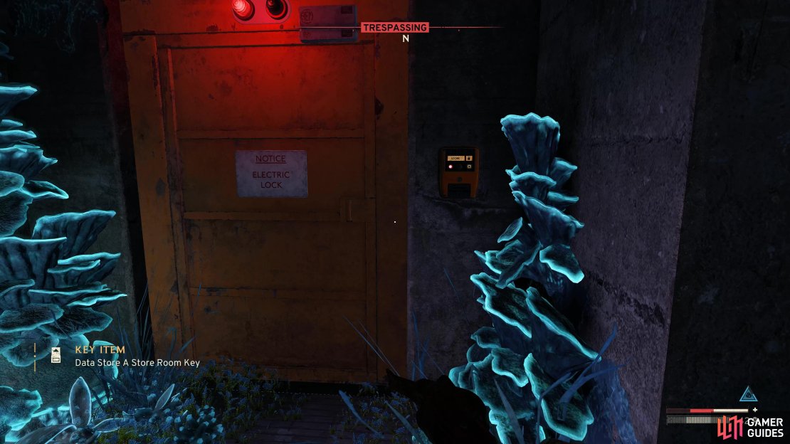 Data Store Alpha can be found in The Interchange in Atomfall.