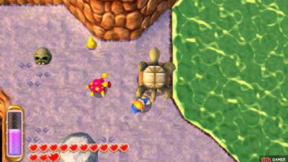 You need to pick this turtle up and throw it back in the water.