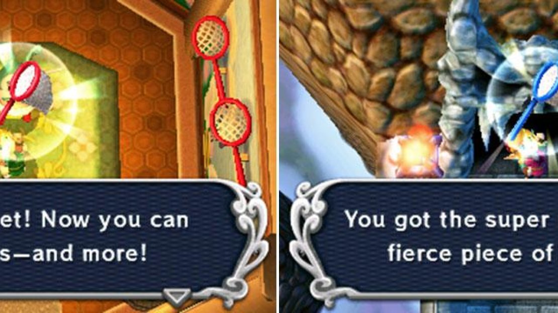 Obtained: Bee Guy (Kakariko Village)  Rent fee: Not applicable.  Purchase fee: Not applicable.  Upgrade and how: Super Net (beat the Advanced level of Treacherous Tower a second time)