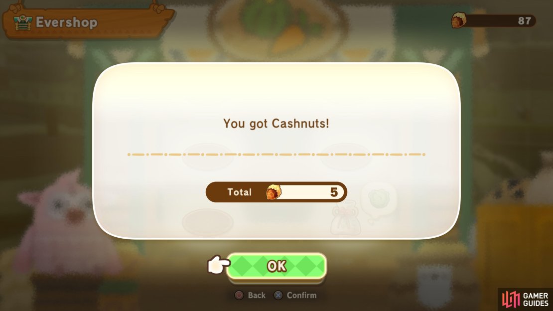 Cashnuts are a currency that is needed in order to purchase anything in Ginormosia.