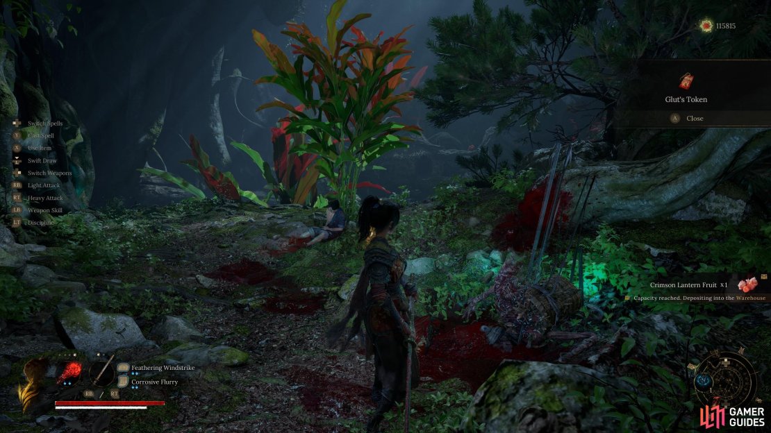 You will find the Leech on the log pathway above the Avian Dwelling shrine. Kill it to get both Matchstick and Glut’s Tokens, if they made it this far. Image via Gamer Guides / 505 Games.