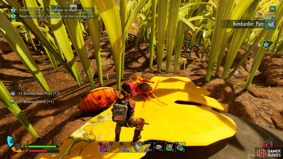 You can find Boiling Glands in Grounded 2 from Bombardier Beetles. Image via Gamer Guides / Obsidian.