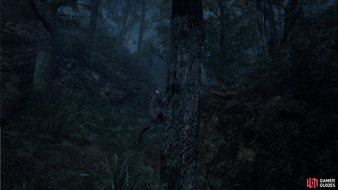 A Squirrel can be found on the trees in Dremuchij East, when you start Operation Snake Eater.