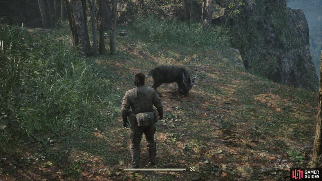 Backtrack to Dremuchij South in the second mission to find a Markhor.