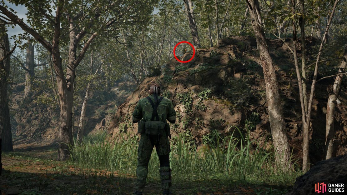 Along the northeastern corner of the map is a building. This GA-KO is west of this building, on an impassable hill. It’s easier to spot from the north.