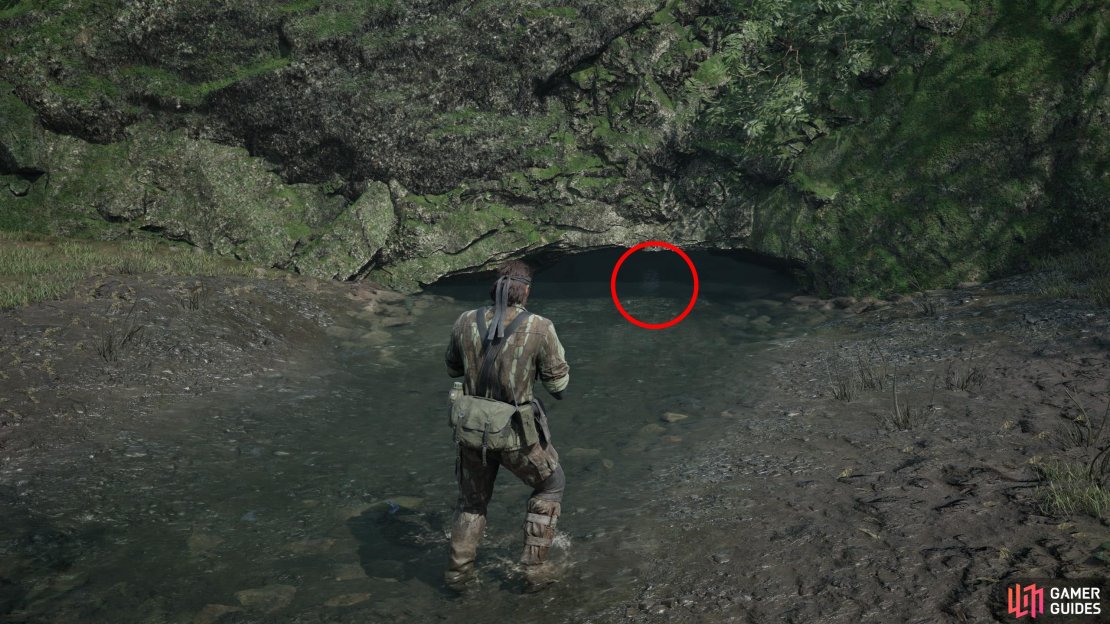 Along the northwestern corner of the Sokrovenno West map you’ll find a stream. Stand in the stream and look north to find a cave, inside of which is this GA-KO.