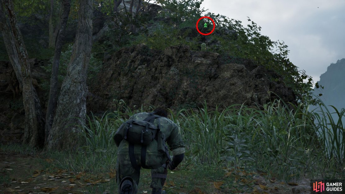 From the northern side of the bridge in Dolinovodno, look east to spot this Kerotan on a ledge.