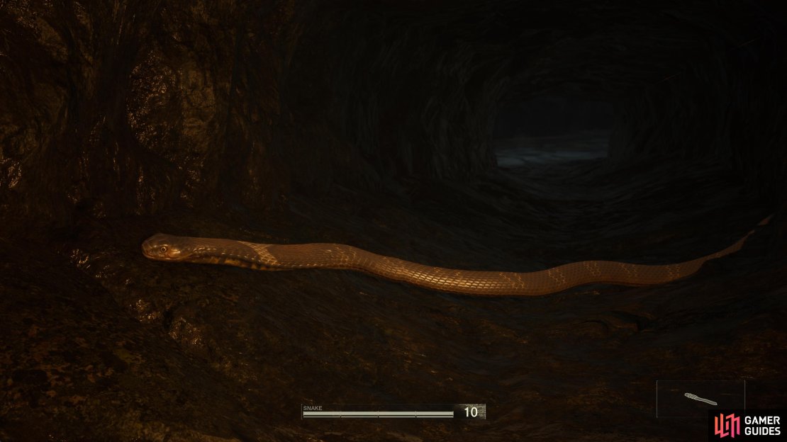 Check the crawlspaces in Chyornaya Peschera Branch for the Taiwanese Cobra.